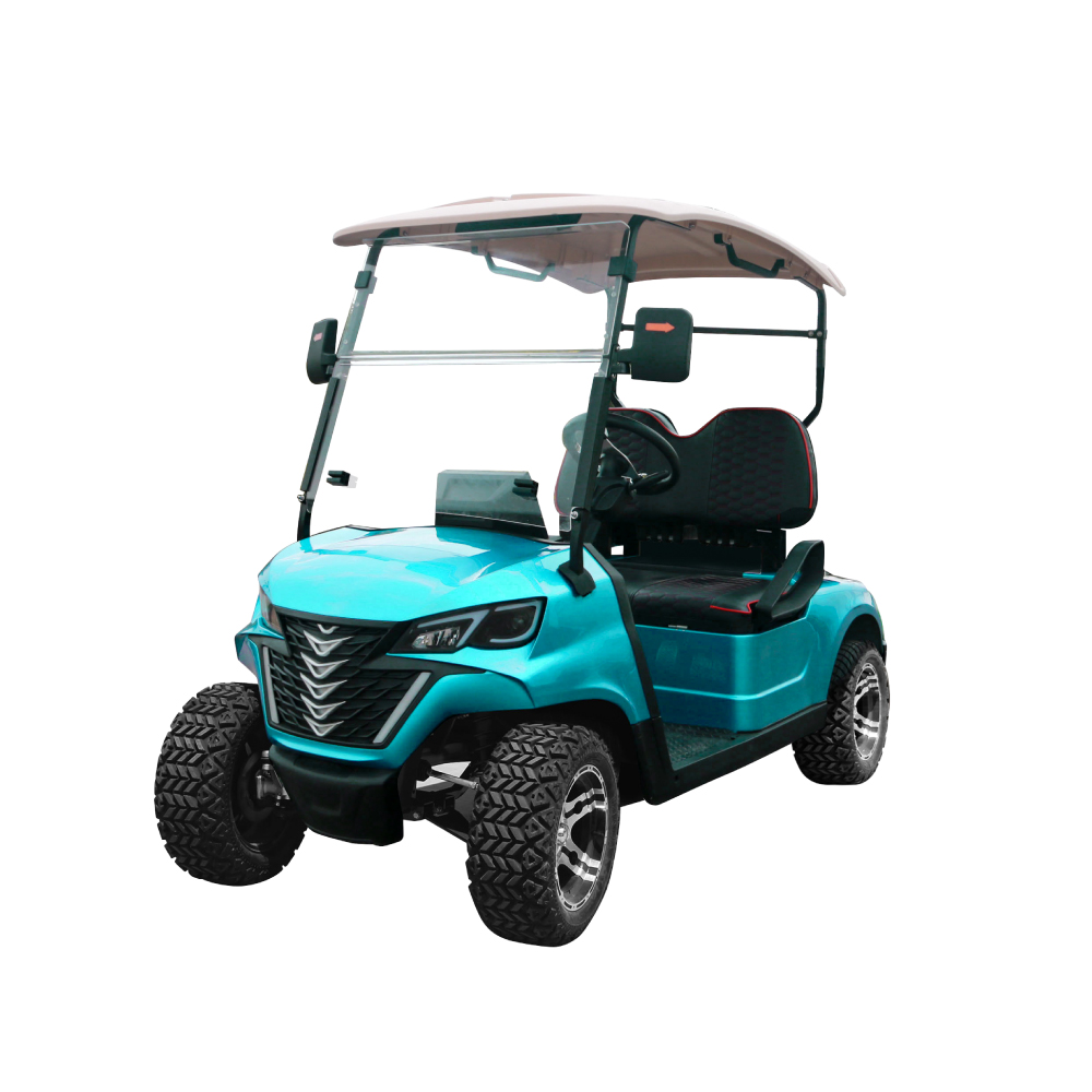 China Hot Sale 2 Seater FORGE H2 Supplier Electric Golf Cart Golf Buggy Golf Car Manufacturers and Suppliers DACHI AUTO POWER
