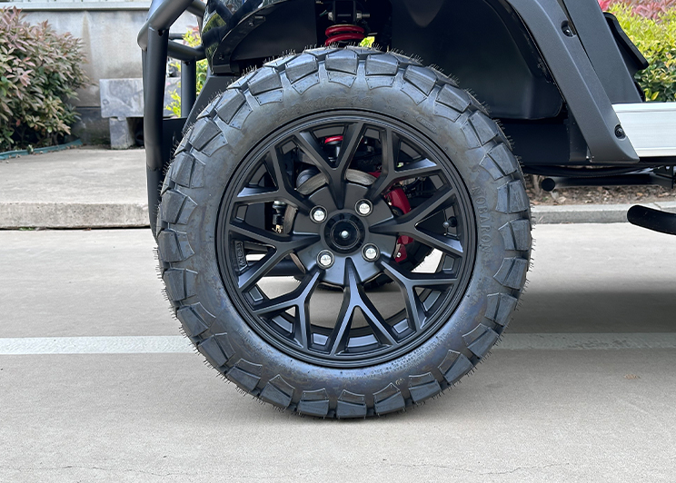 Premium All-Terrain Electric Golf Cart for Global Commercial & Leisure Mobility (1)